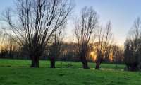 Puzzle coucher de soleil en hiver
