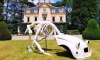 Puzzle voiture dinosaure