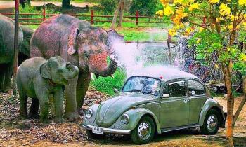 Puzzle 14251 - car wash gratuit