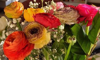 Puzzle bouquet de renoncules - catégorie Paysages & Fleurs, puzzle gratuit en ligne