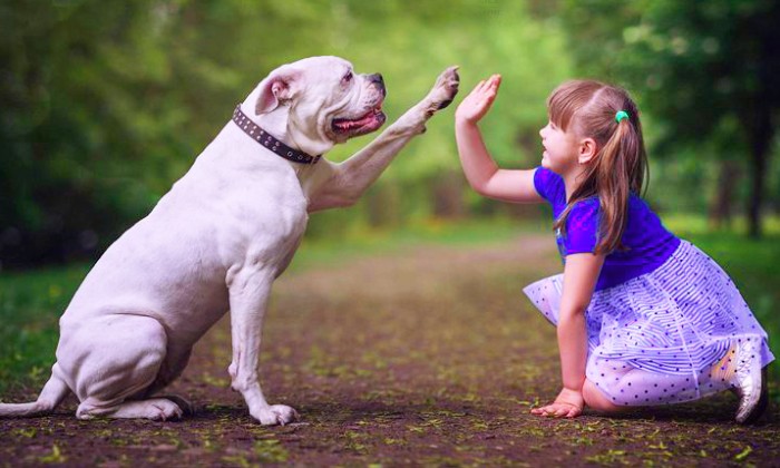 Puzzle gratuit tape m'en cinq dans la catégorie Animaux jouable de 24 à 120 pièces.