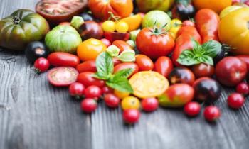 Puzzle Variétés de tomates - catégorie Cuisine & Gastronomie, puzzle gratuit en ligne