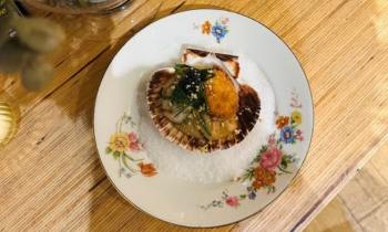 Puzzle 14769 - Coquille saint jacques