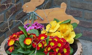 Puzzle C'est bientôt Pâques - catégorie Divers & Curiosités, puzzle gratuit en ligne