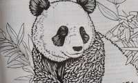 Puzzle Panda