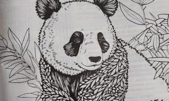 Puzzle 12576 - Panda