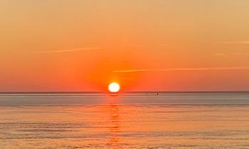 Puzzle 14574 - Heure dorée