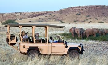 Puzzle 15101 - SAFARI