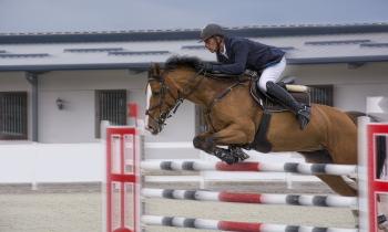 Puzzle 13914 - Saut d'obstacles