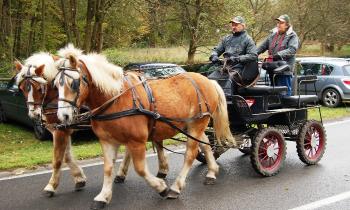 Puzzle 14722 - Attelage