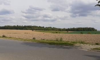 Puzzle 13642 - Campagne à côté de la ville