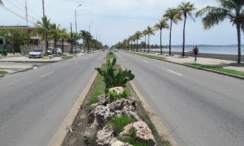 Puzzle 14501 - Avenue - Cuba