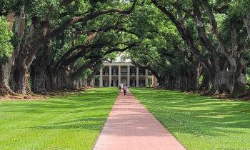 Puzzle OAK plantation - catégorie Villes & Monuments, puzzle gratuit en ligne