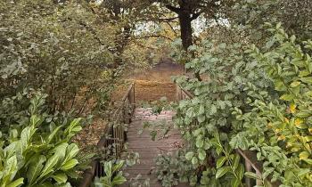 Puzzle 14511 - coin de verdure nantais