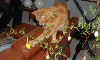 Puzzle Œufs de Pâques - catégorie Animaux, puzzle gratuit en ligne