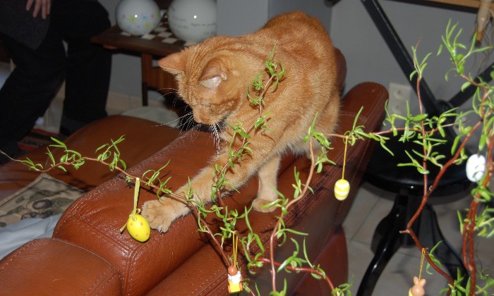 Puzzle gratuit Œufs de Pâques dans la catégorie Animaux jouable de 24 à 120 pièces.