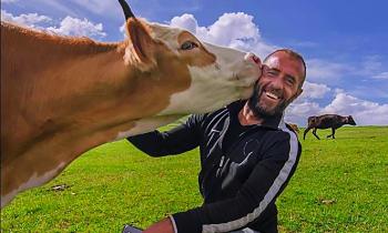 Puzzle le big bisou - catégorie Animaux, puzzle gratuit en ligne