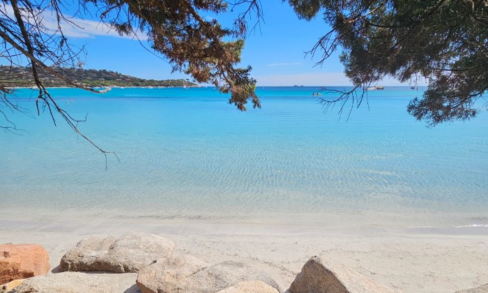 Puzzle Le Paradis n'est pas si loin dans la catégorie Paysages & Fleurs On pourrait se croire dans les DOM-TOM. Et non, c'est une plage située en Corse.