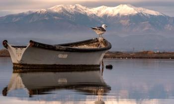 Puzzle 14827 - CANIGOU -66- p-o