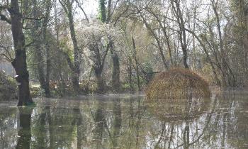 Puzzle inondation - catégorie Paysages & Fleurs, puzzle gratuit en ligne