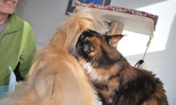 Puzzle 14875 - confidences