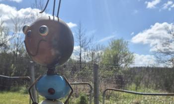 Puzzle la fourmie et le ciel - catégorie Divers & Curiosités, puzzle gratuit en ligne