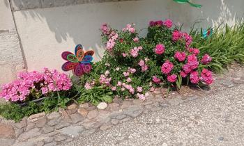 Puzzle jolies fleurs - catégorie Paysages & Fleurs, puzzle gratuit en ligne