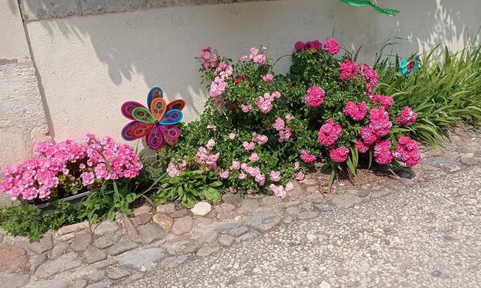 Puzzle gratuit jolies fleurs dans la catégorie Paysages & Fleurs jouable de 24 à 120 pièces.