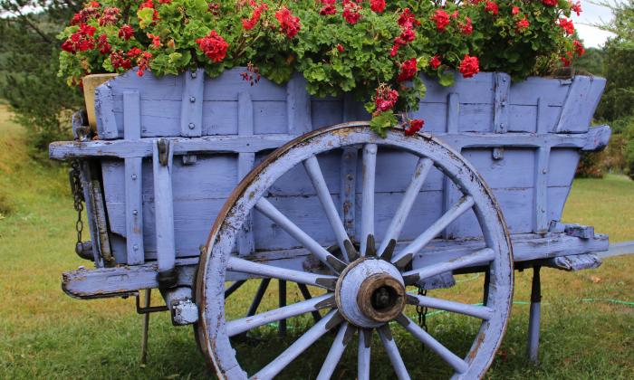 Puzzle gratuit Charrette fleurie bleue dans la catégorie Divers & Curiosités jouable de 24 à 120 pièces.