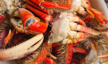 Puzzle crabe - catégorie Cuisine & Gastronomie, puzzle gratuit en ligne
