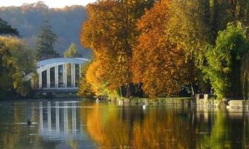 Puzzle Automne doré au parc - catégorie Paysages & Fleurs, puzzle gratuit en ligne