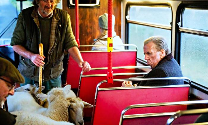 Puzzle gratuit Transport en commun dans la catégorie Animaux jouable de 24 à 120 pièces.