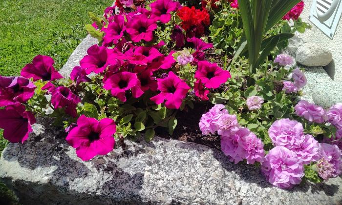 Puzzle gratuit Auge en granit et pétunias dans la catégorie Paysages & Fleurs jouable de 24 à 120 pièces.