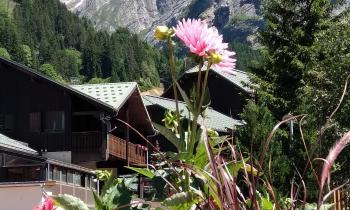 Puzzle chalet dans les alpes - catégorie Paysages & Fleurs, puzzle gratuit en ligne