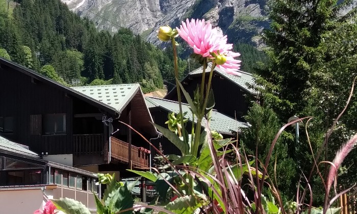 Puzzle gratuit chalet dans les alpes dans la catégorie Paysages & Fleurs jouable de 24 à 120 pièces.